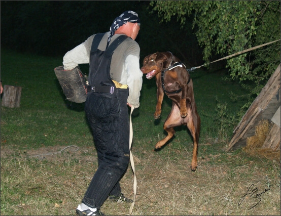 Summer training camp - Jelenec - 2007